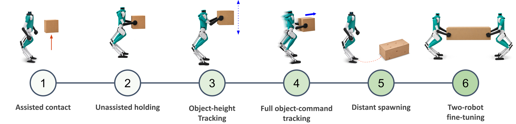 Six-stage training curriculum: assisted contact, unassisted holding, object-height tracking, full object-command tracking, distant spawning, and two-robot fine-tuning